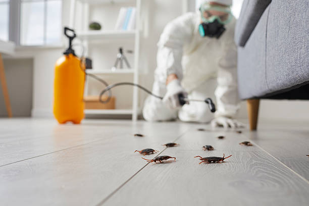 Commercial Kitchen Cockroach Control in St. James